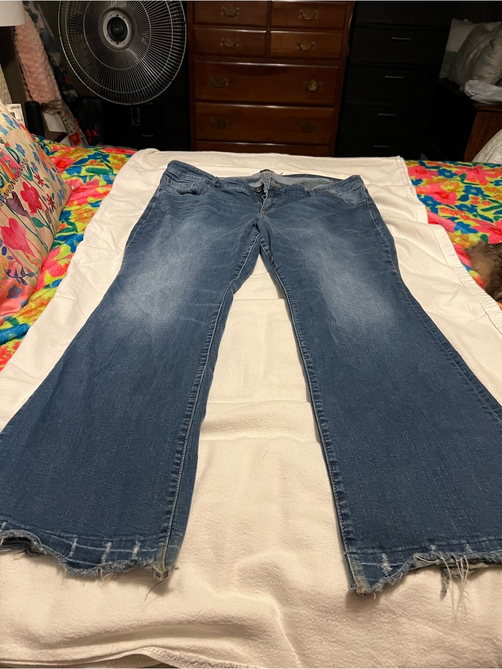 torrid Blue Flared Distressed Jeans